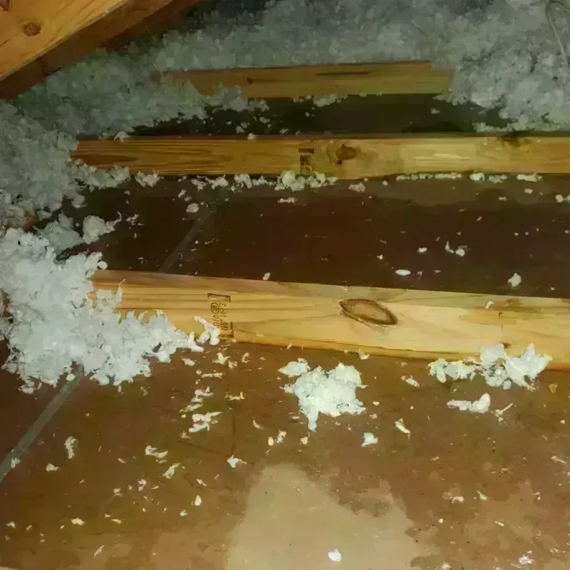 Attic Water Damage in Port Jefferson, NY